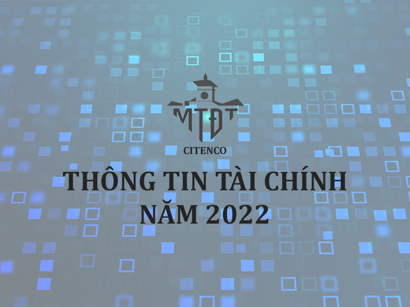 THÔNG TIN TÀI CHÍNH 2022